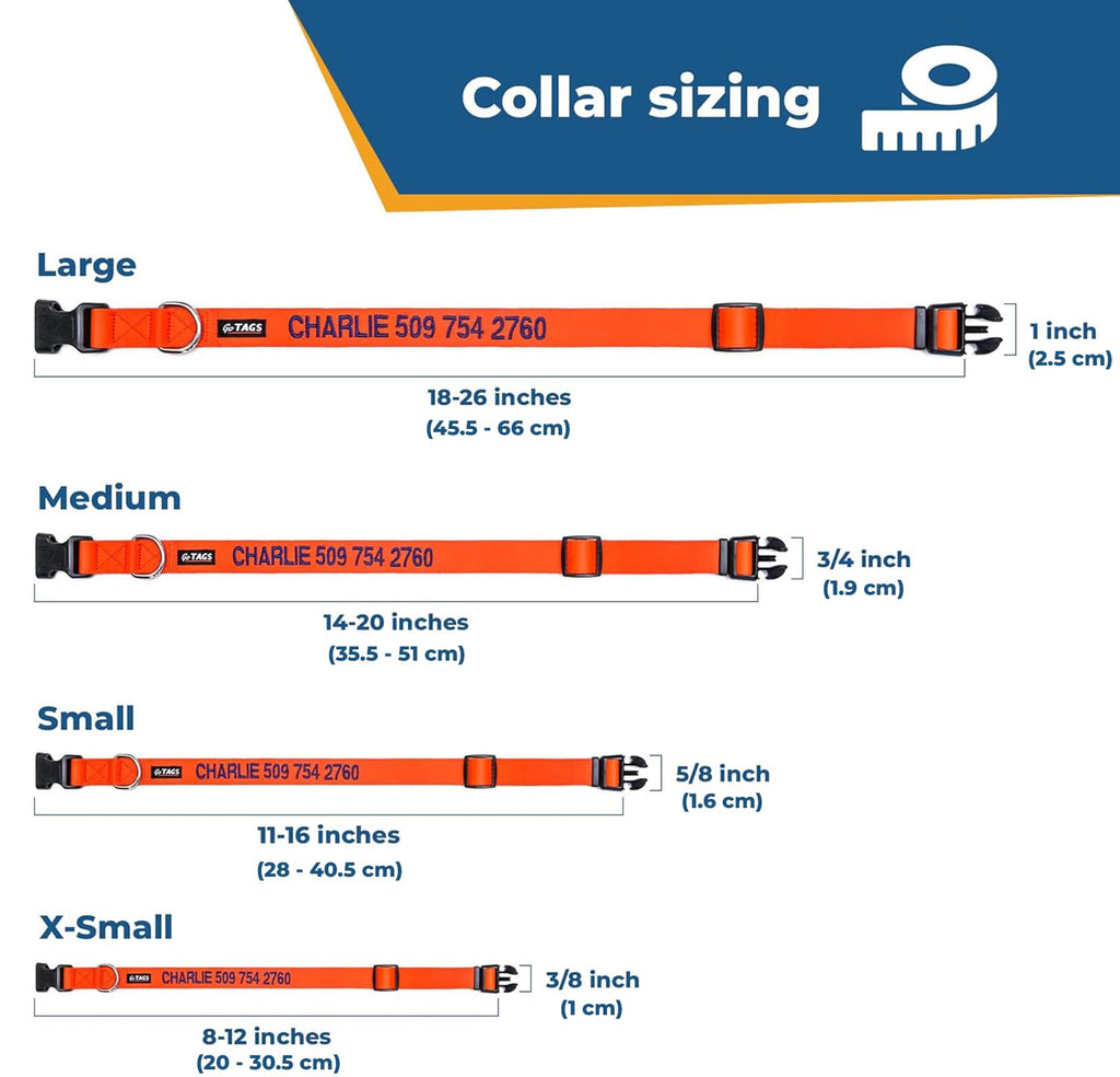 Personalized Dog Collar G73230