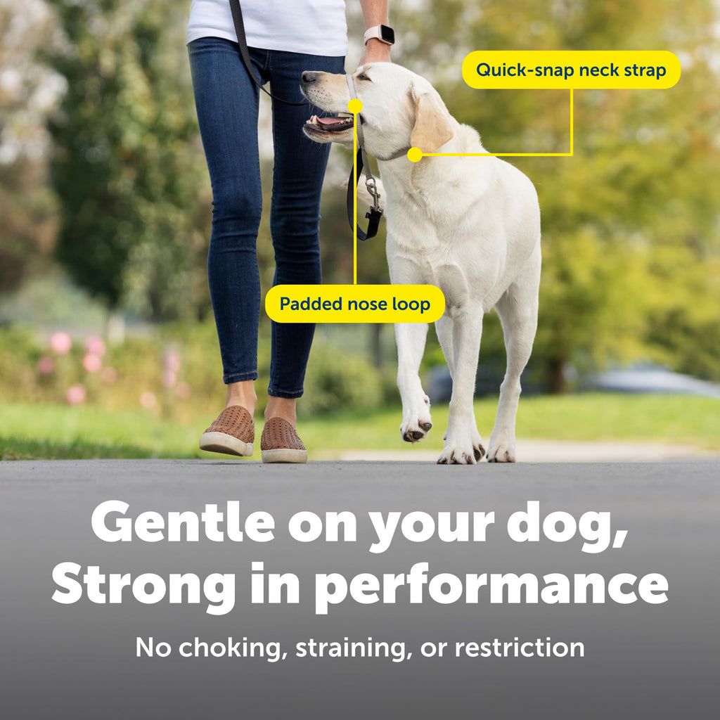 Black Medium No Pull Dog Headcollar R9920