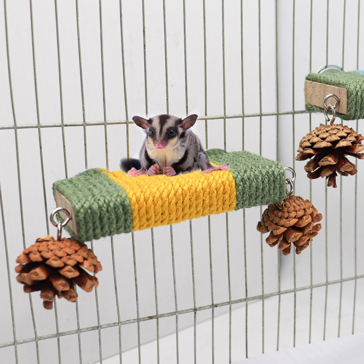 2 Pack Cage Platform with Rope and Pine Cone Decor R44130