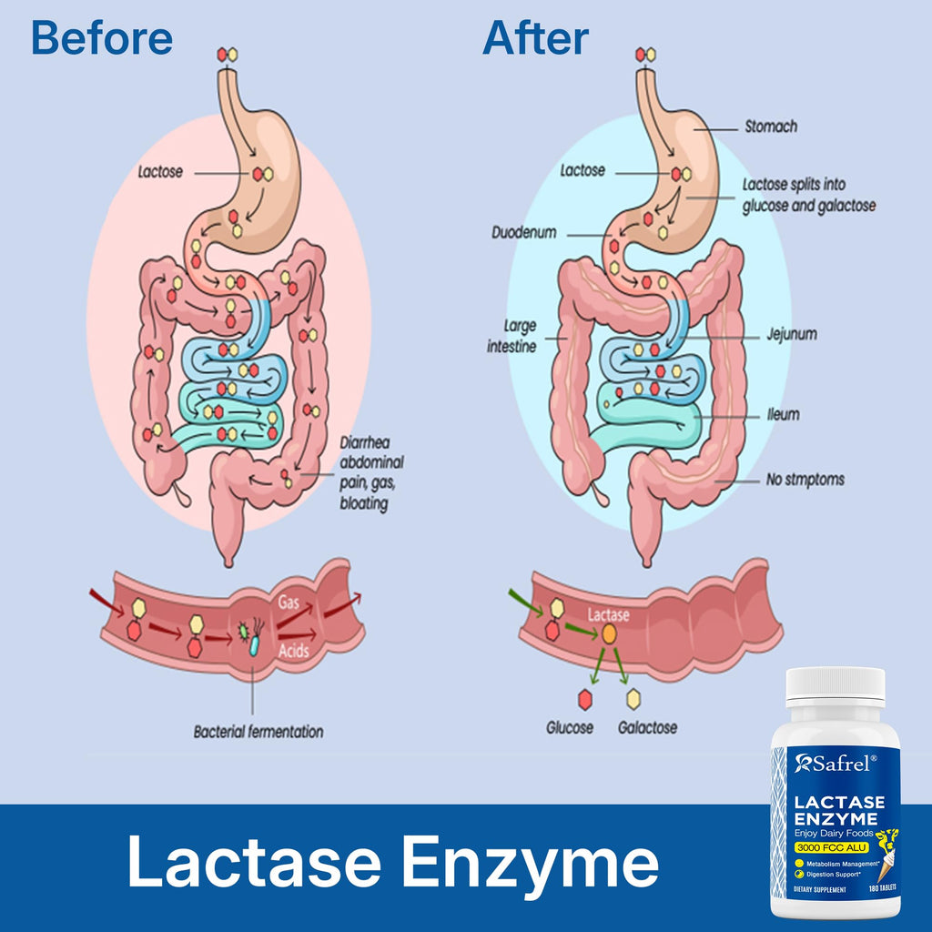 Unflavored Lactase Enzyme Tablets 180 Ct Y43150
