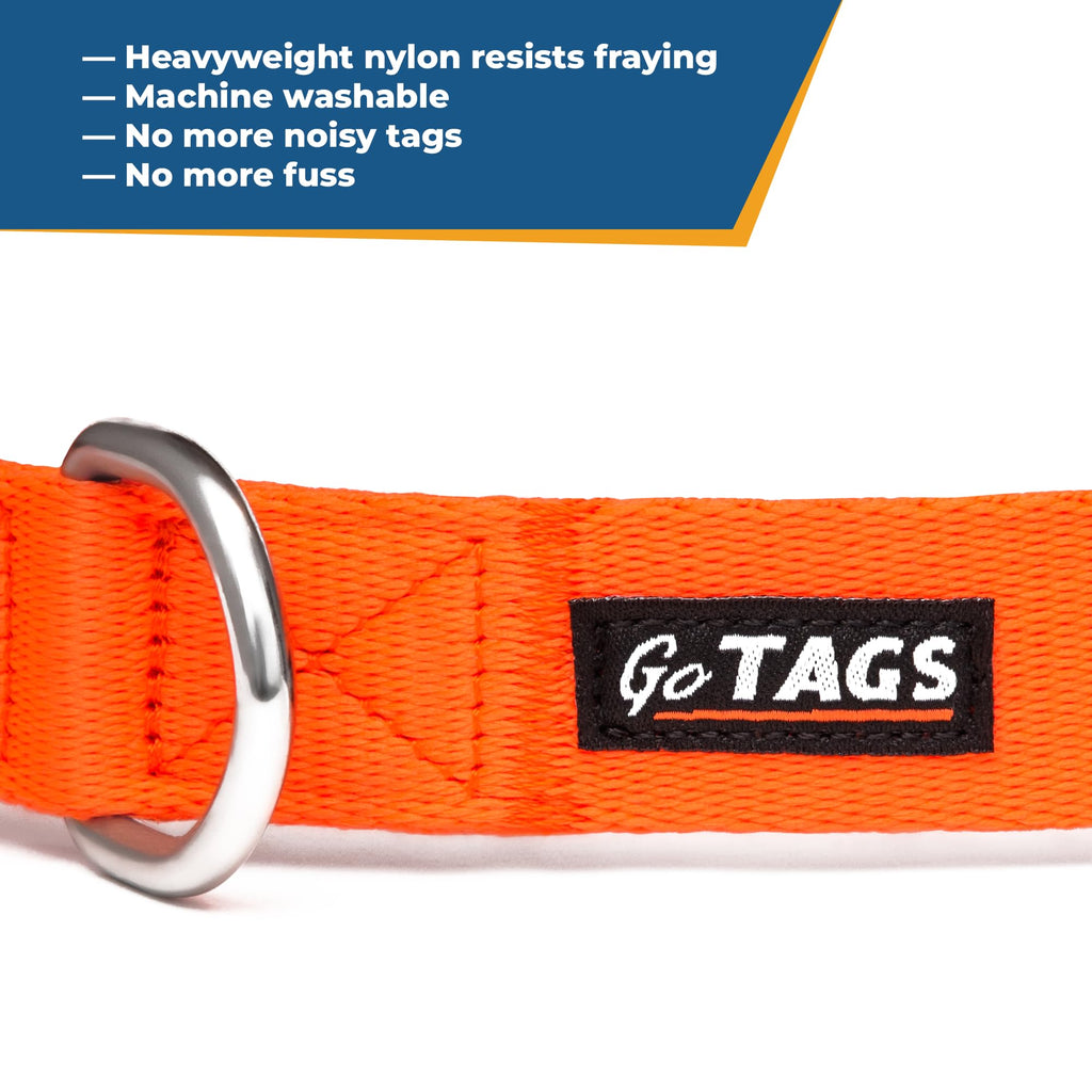 Personalized Dog Collar G73230