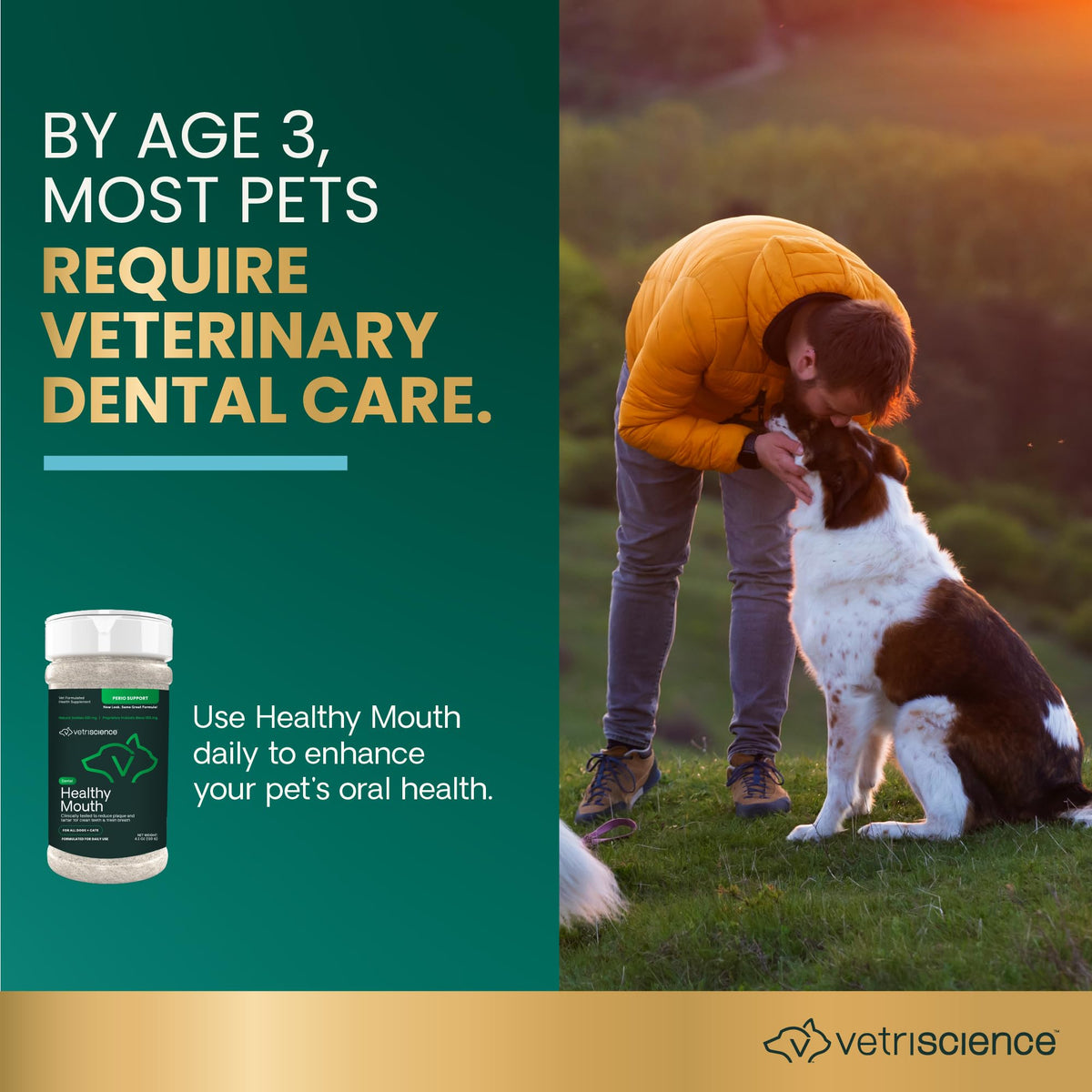 Dental Care Powder for Dogs and Cats, 4.2 oz A24712