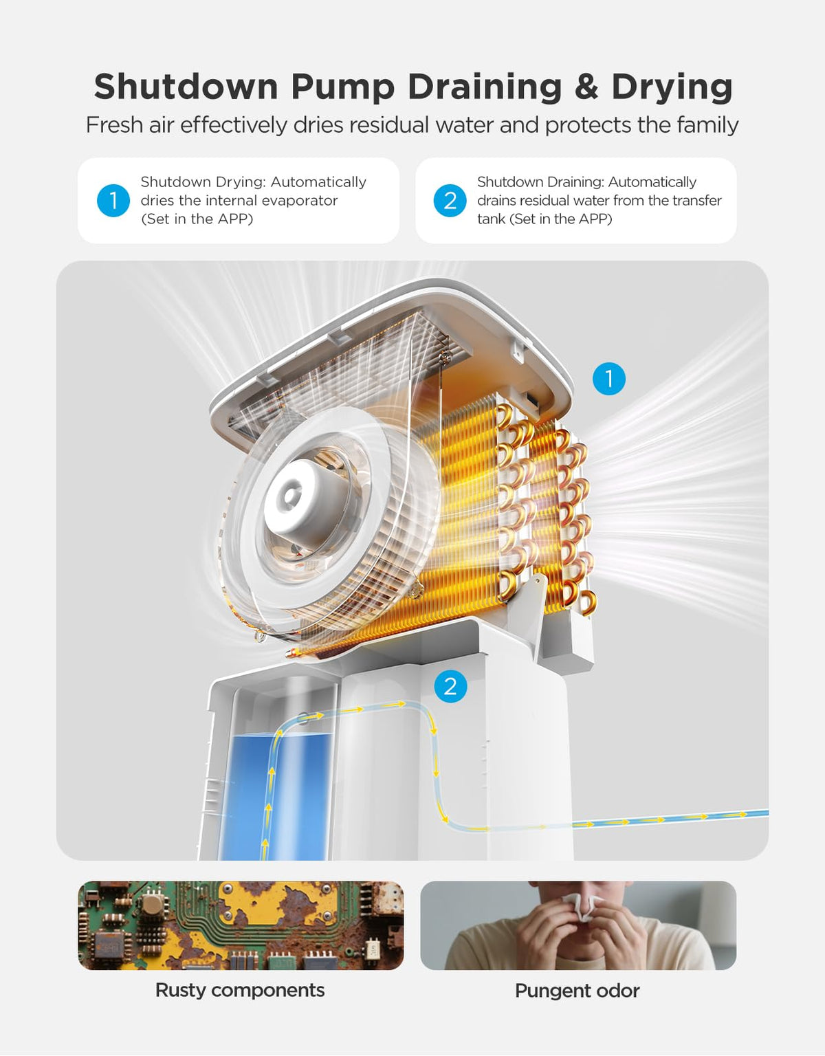 Dehumidifier with WiFi V69126