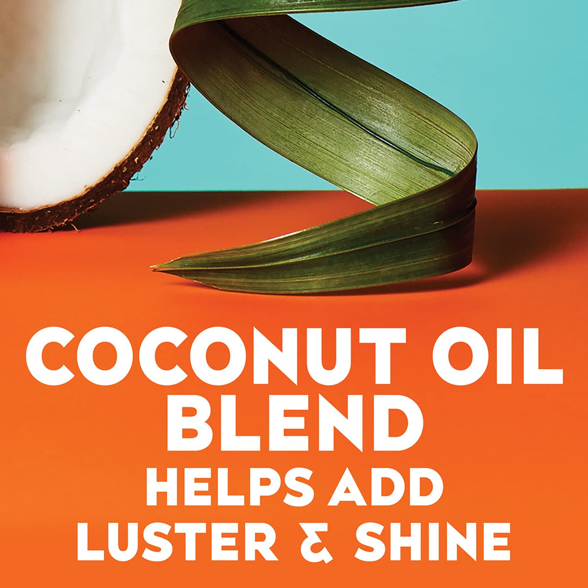 Coconut Curls Shampoo & Conditioner B548