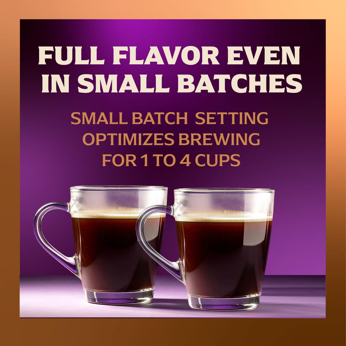 12 Cup Coffee Maker with Decaf and Iced Coffee Settings X4005