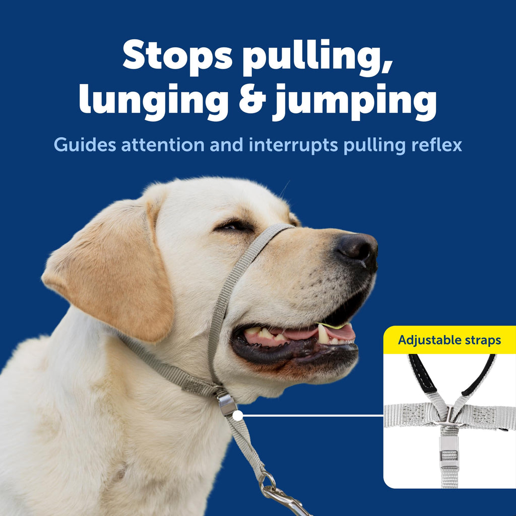 Black Medium No Pull Dog Headcollar R9920