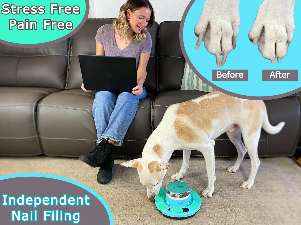 Dog Nail Scratch Board with Treat Dispenser M2185