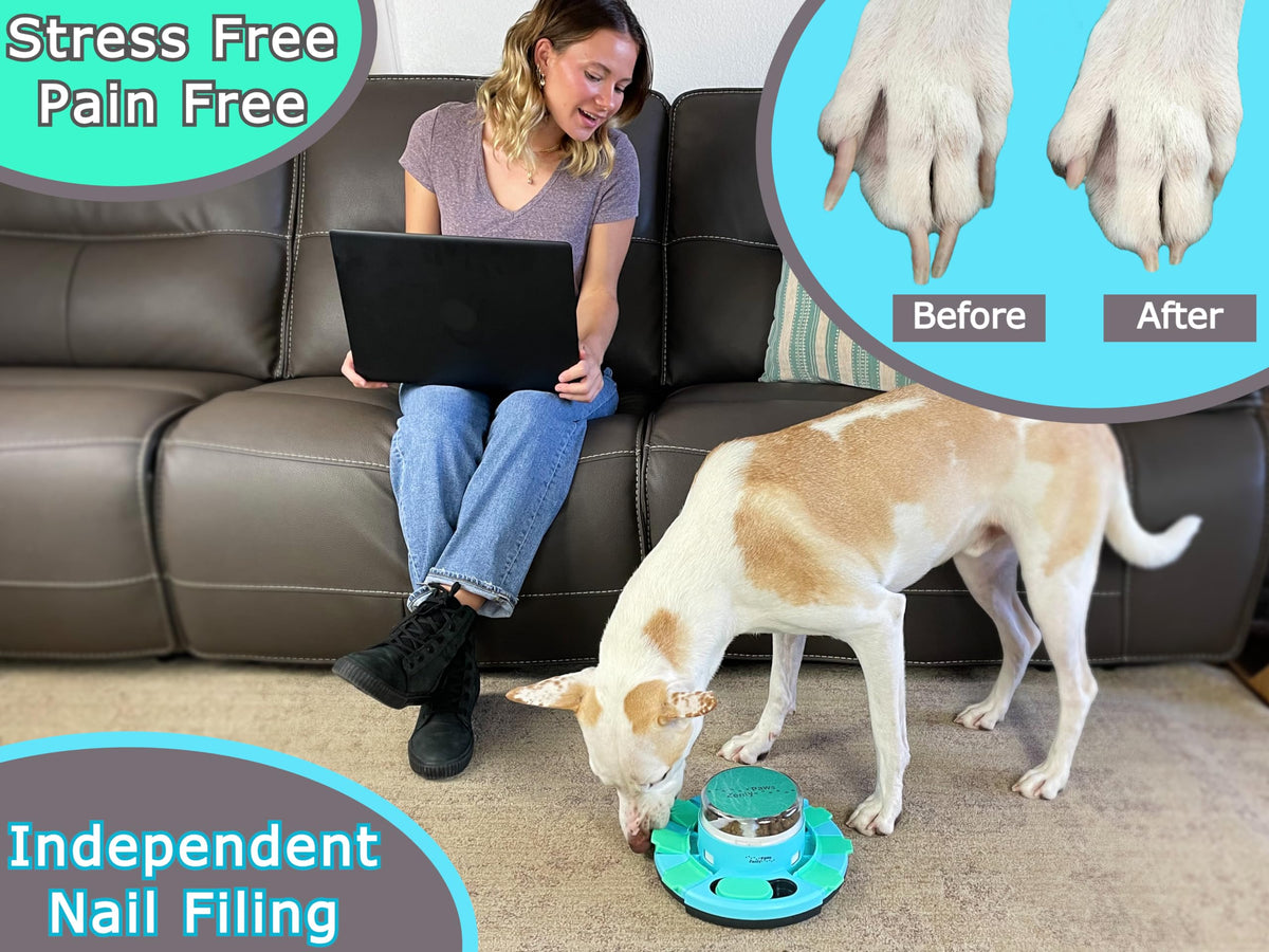 Dog Nail Scratch Board with Treat Dispenser M2185