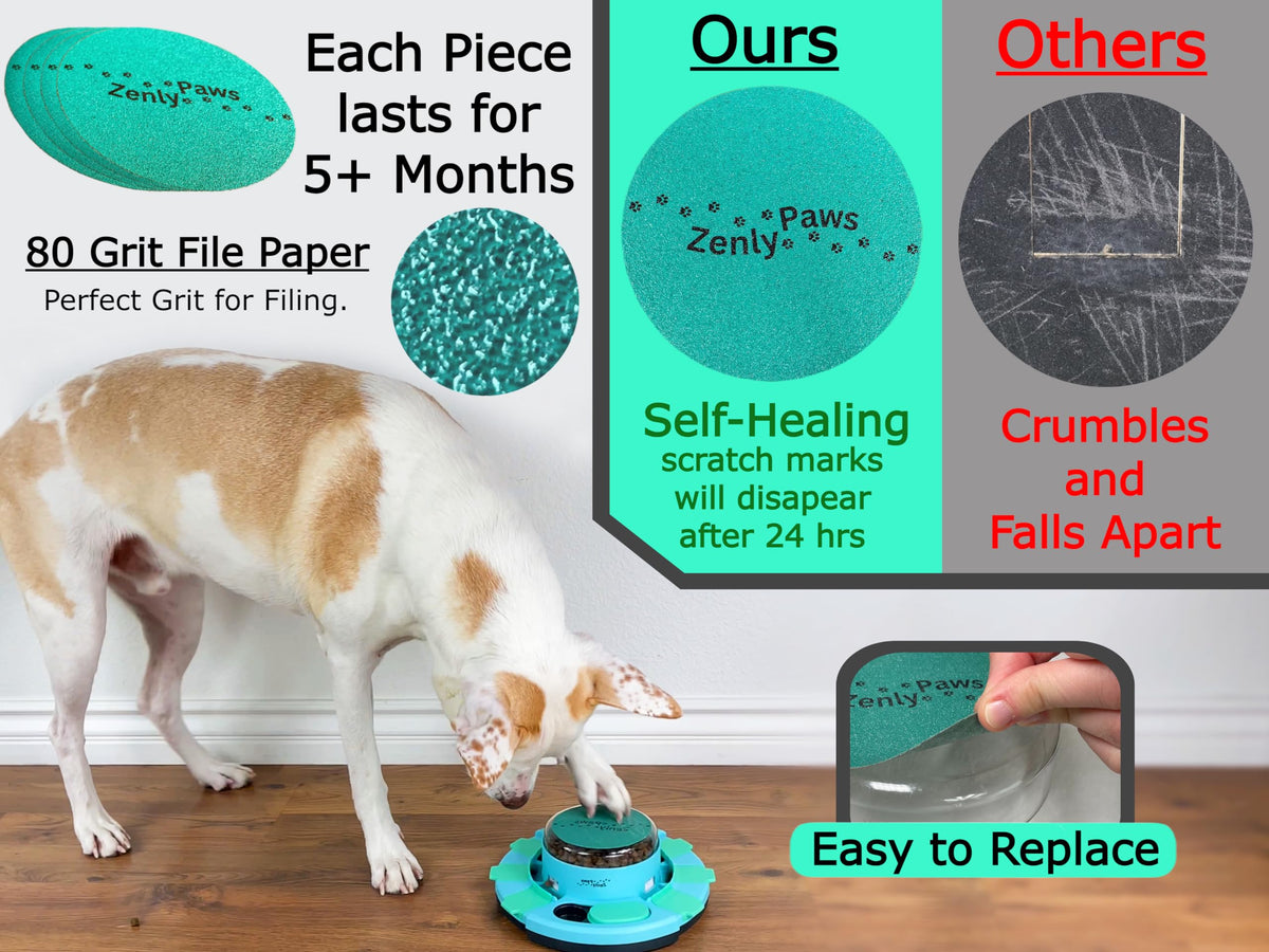 Dog Nail Scratch Board with Treat Dispenser M2185