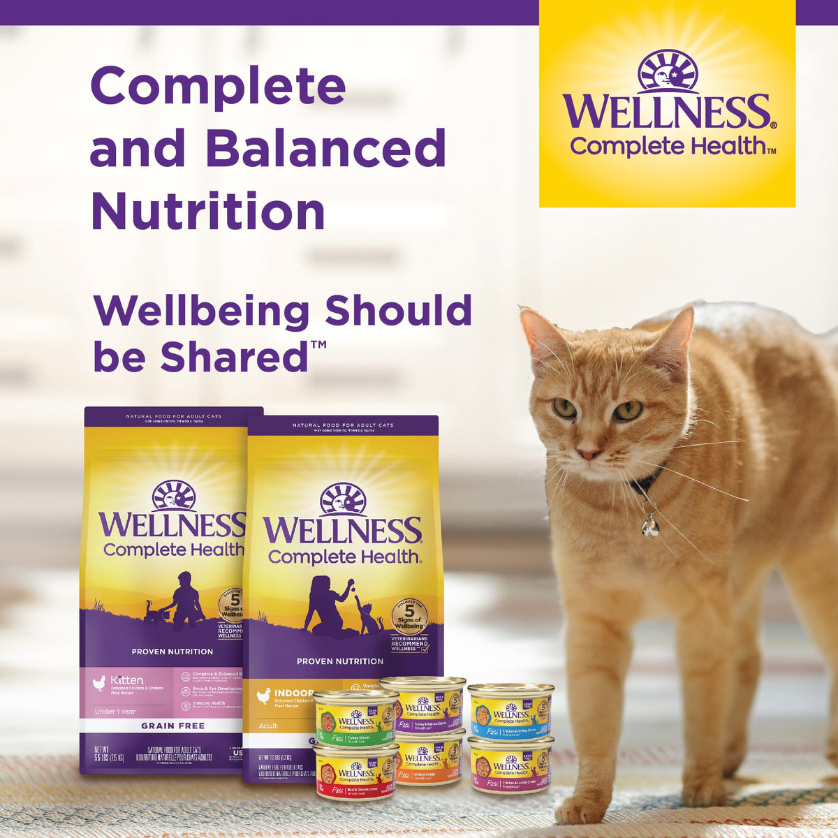 Grain Free Chicken Recipe Dry Cat Food 11.5 lb Bag Y35536
