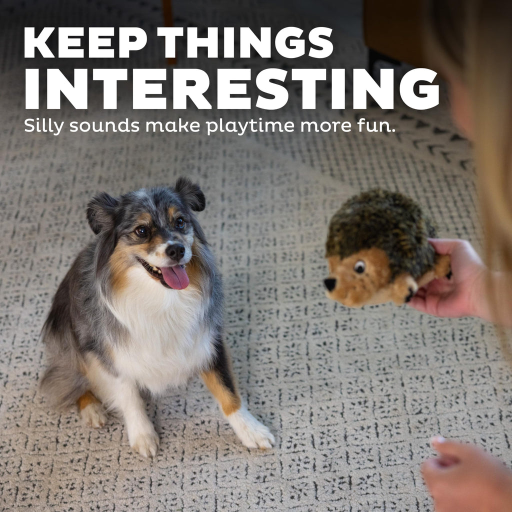 Plush Dog Toy J16662