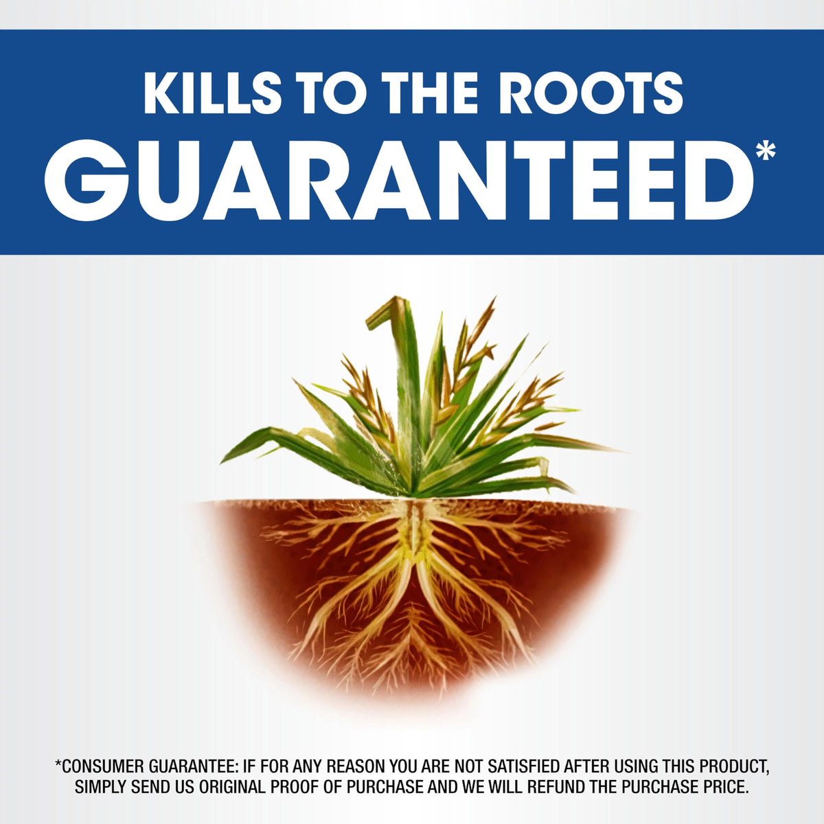 Roundup Weed & Grass Killer₄ with Sure Shot Wand, 1 gal. X7628