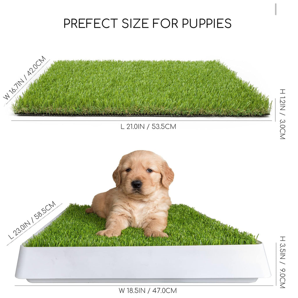 Dog Grass Pad with Tray S379