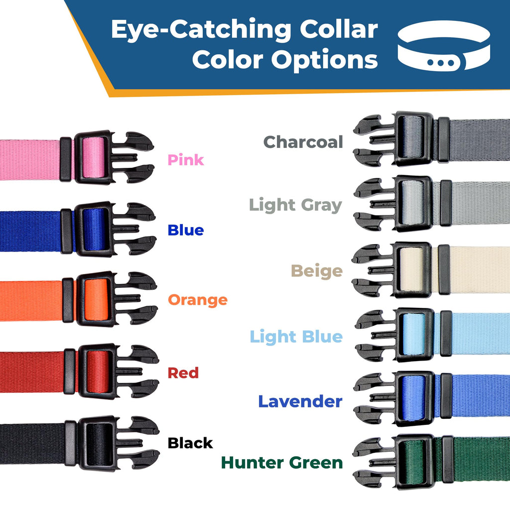 Personalized Dog Collar G73230