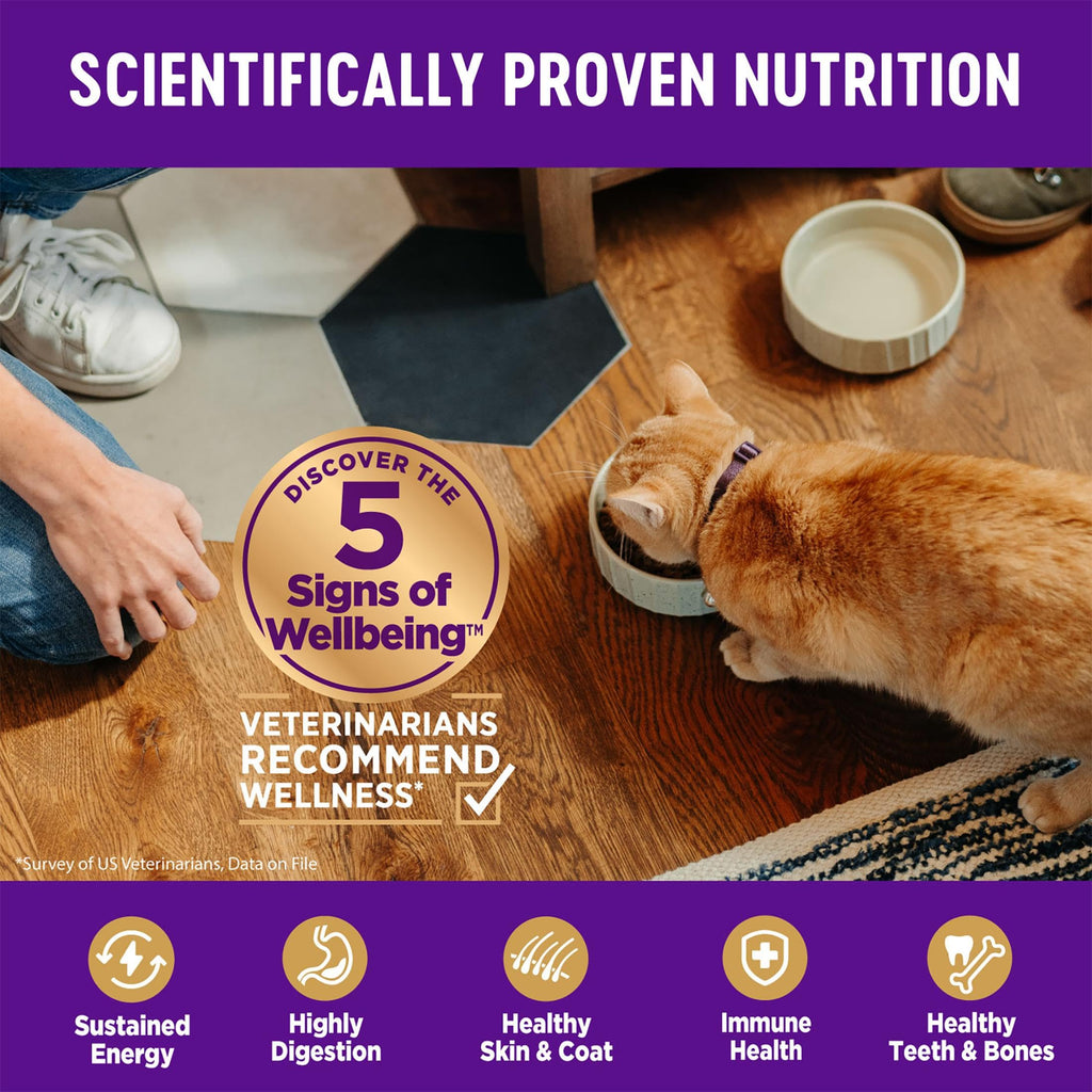 Grain Free Chicken Recipe Dry Cat Food 11.5 lb Bag Y35536