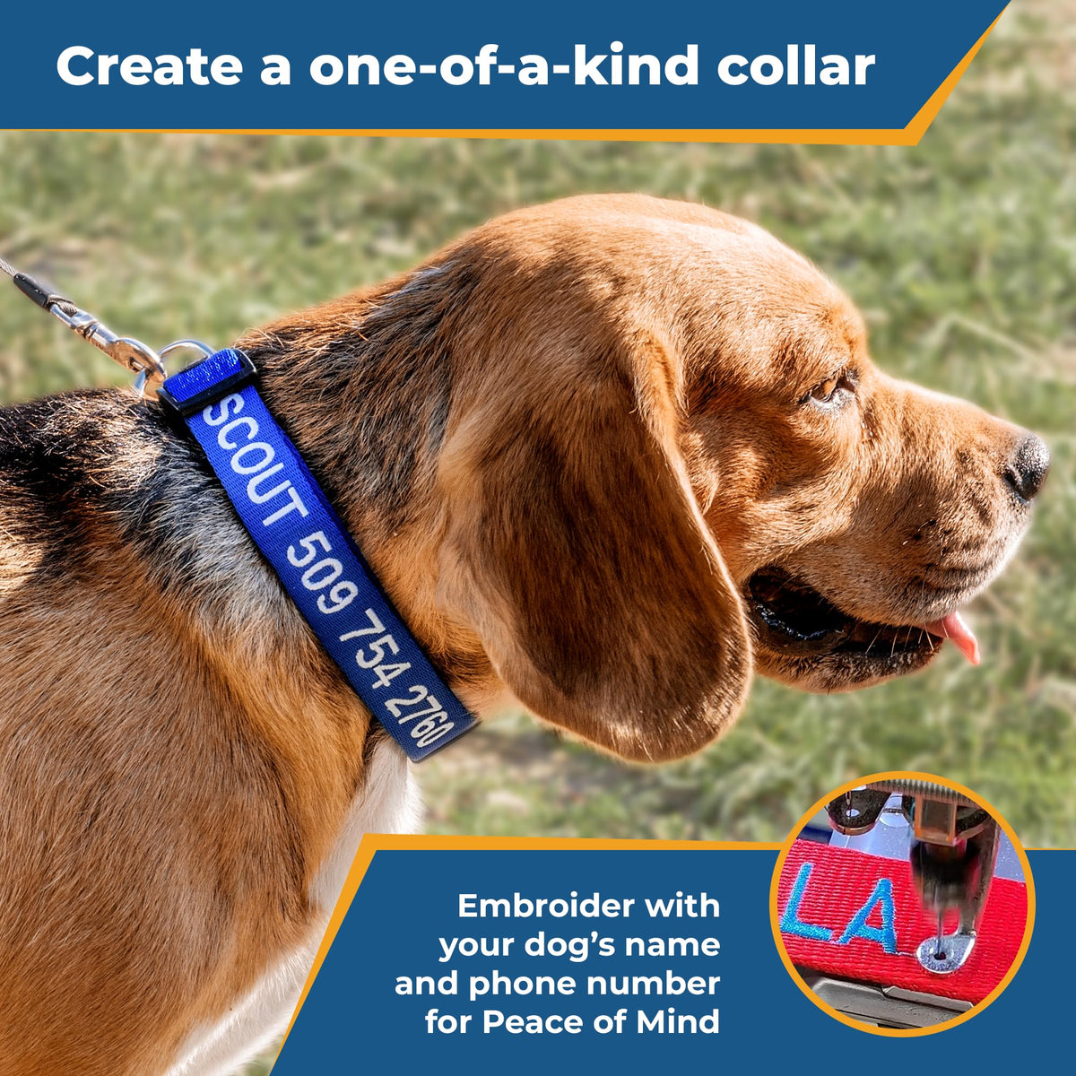 Personalized Dog Collar G73230