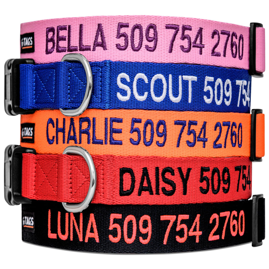 Personalized Dog Collar G73230
