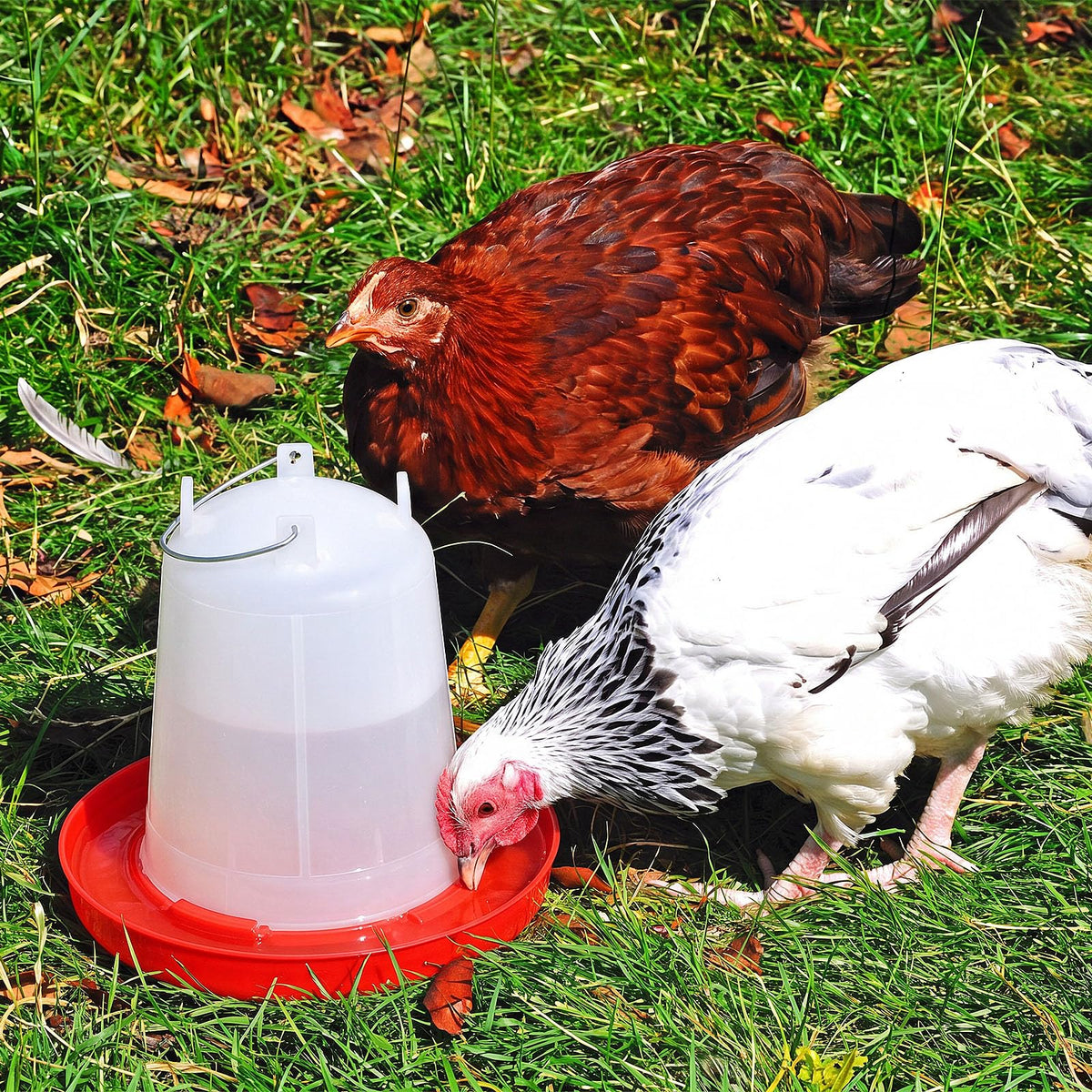 2 Pcs 2 Gallon Plastic Chicken Waterer F725