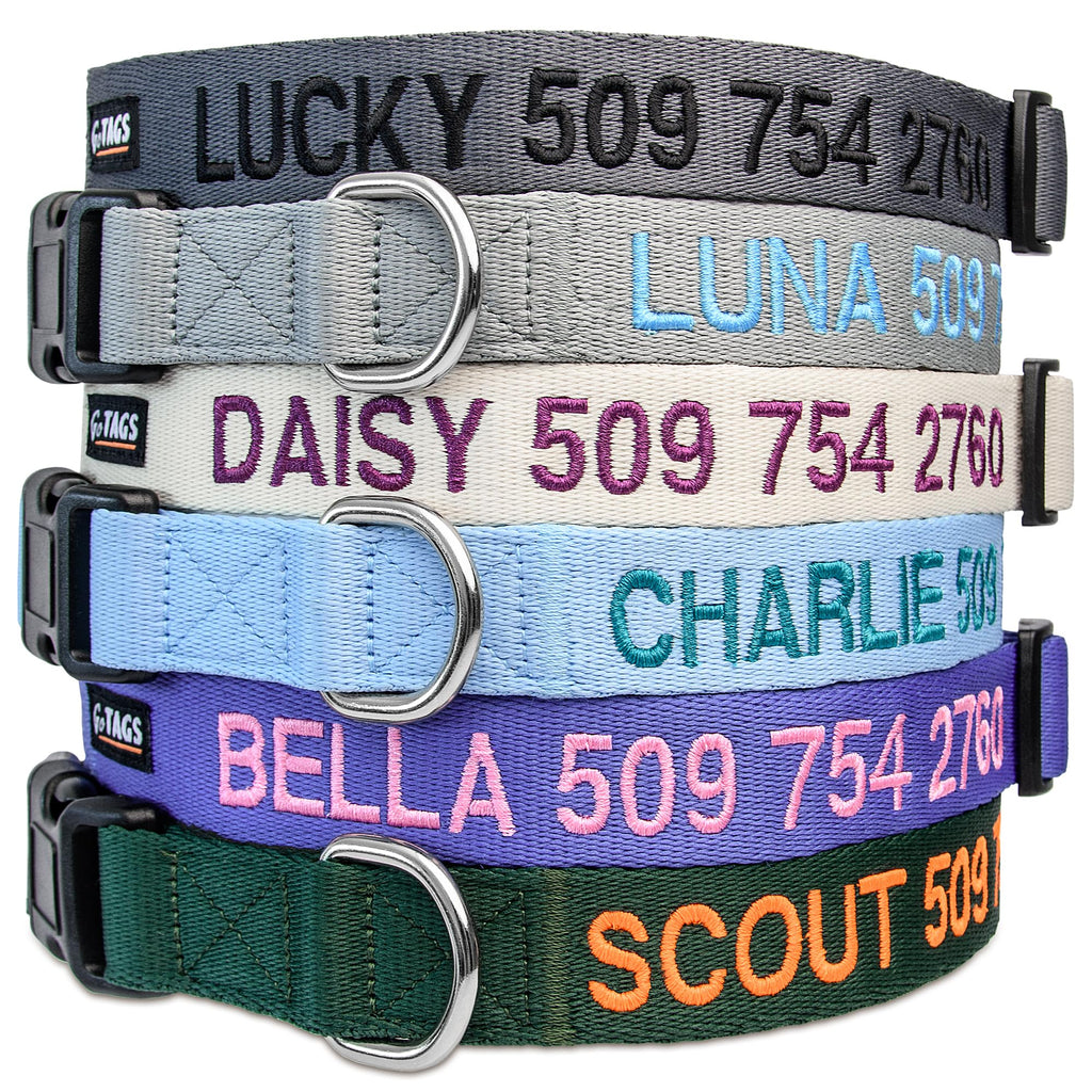 Personalized Dog Collar G73230