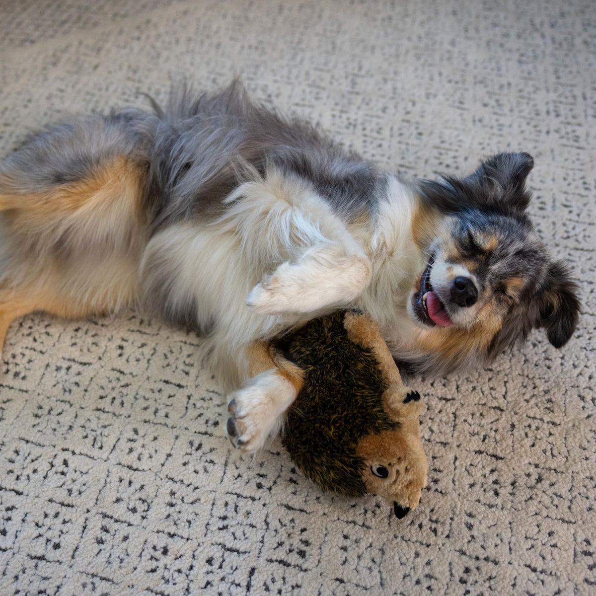 Plush Dog Toy J16662